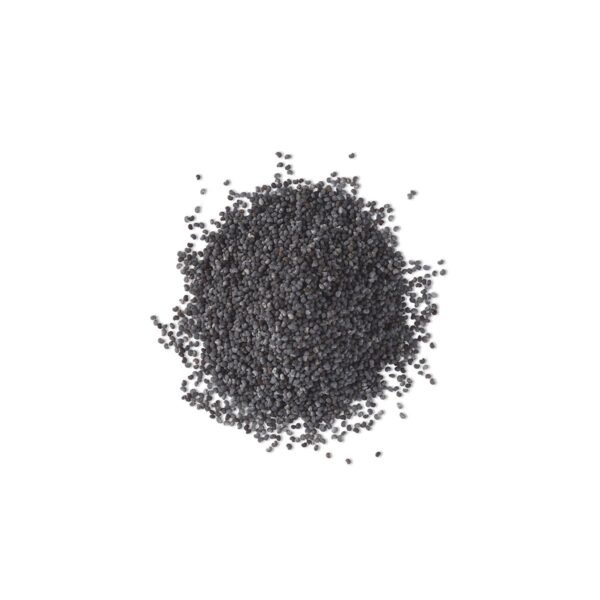 TCE - Exfolations Seeds - waterless