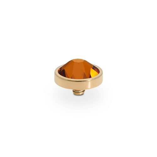 Qudo Goud - Canino Light Amber